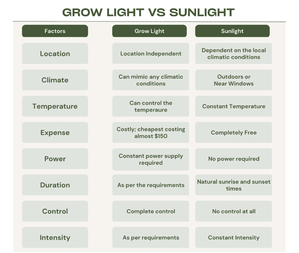 Infographic comparing the factors that differ in grow light vs sunlight