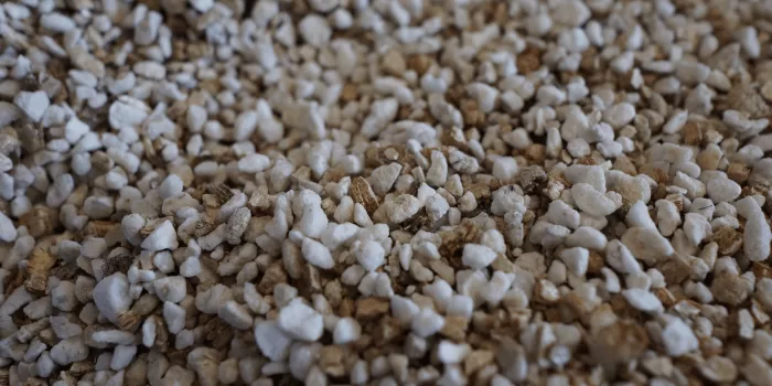 Little popcorn-shaped pebbles of perlite
