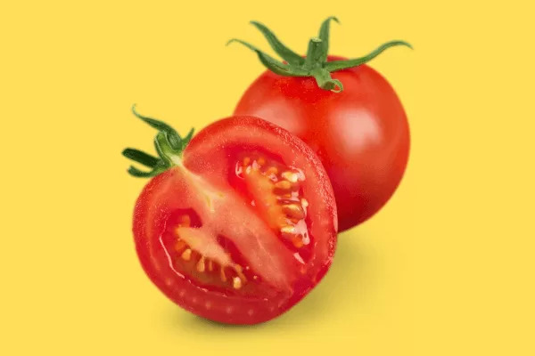 Hydroponic tomato